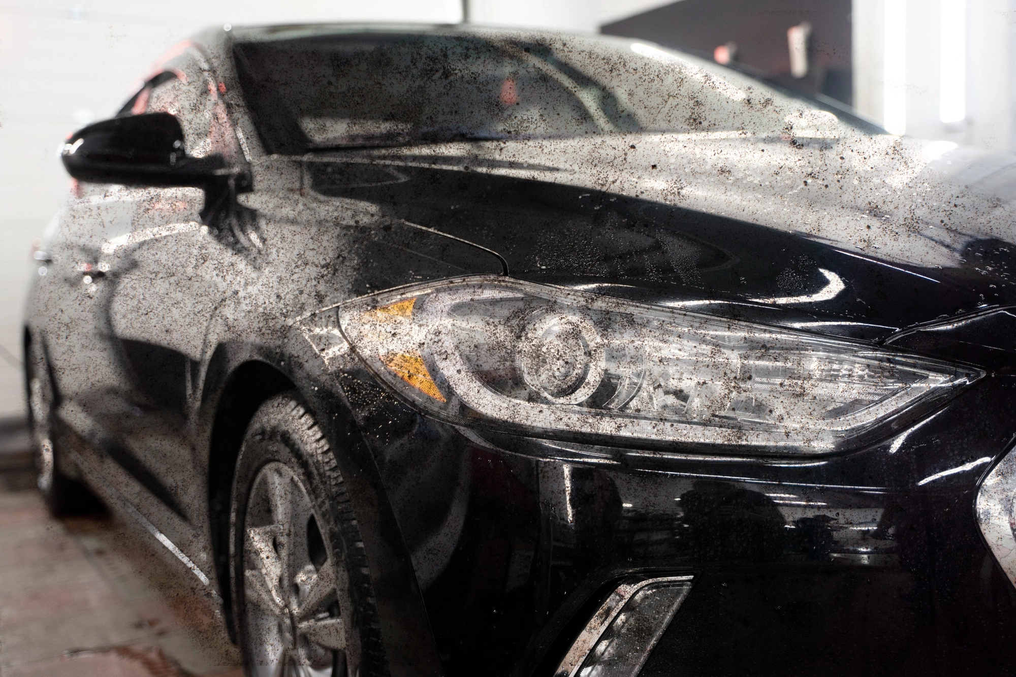 Before car detailing comparison